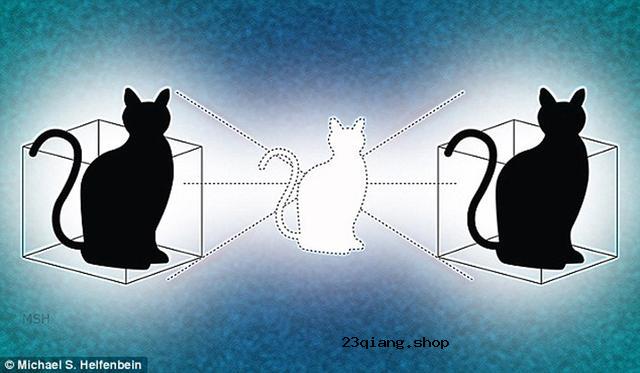 物理学家首次实现同处两地的薛定谔猫