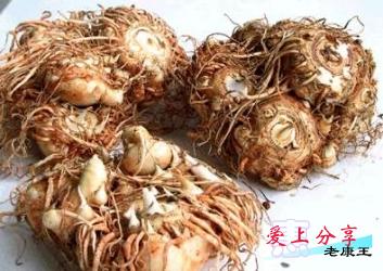 马蹄莲的养殖方法和注意事项