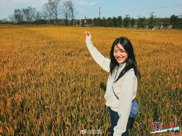 刘雯翘腿躺金色麦田超自在 秀发随风飘逸气质潇洒