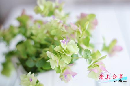 厕所怎样影响你财运和婚姻?